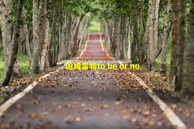 哈姆雷特to be or no